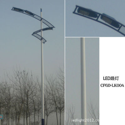 【遼寧/吉林/黑龍江40W工廠廠區(qū)專用 太陽能LED路燈 LED防爆路燈】價格,廠家,圖片,道路燈,滄州市財(cái)富光電新型節(jié)能建材-