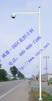 led路燈小區(qū)燈桿產(chǎn)品圖片高清大圖